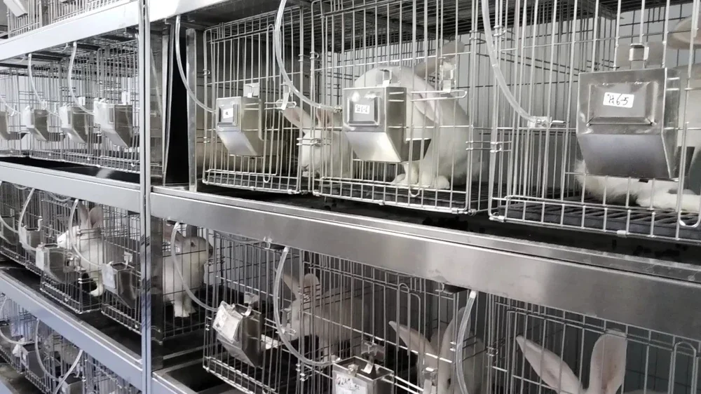 Factory for Animal Facility Odor Control Equipment: An Inside Look at the Equipment and Its Advantages